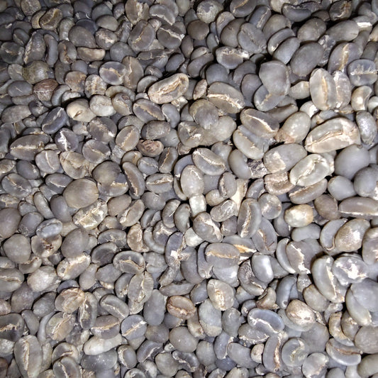 A close-up pile of raw, unroasted coffee beans with dark brown to grayish-brown tones and lighter beige highlights.