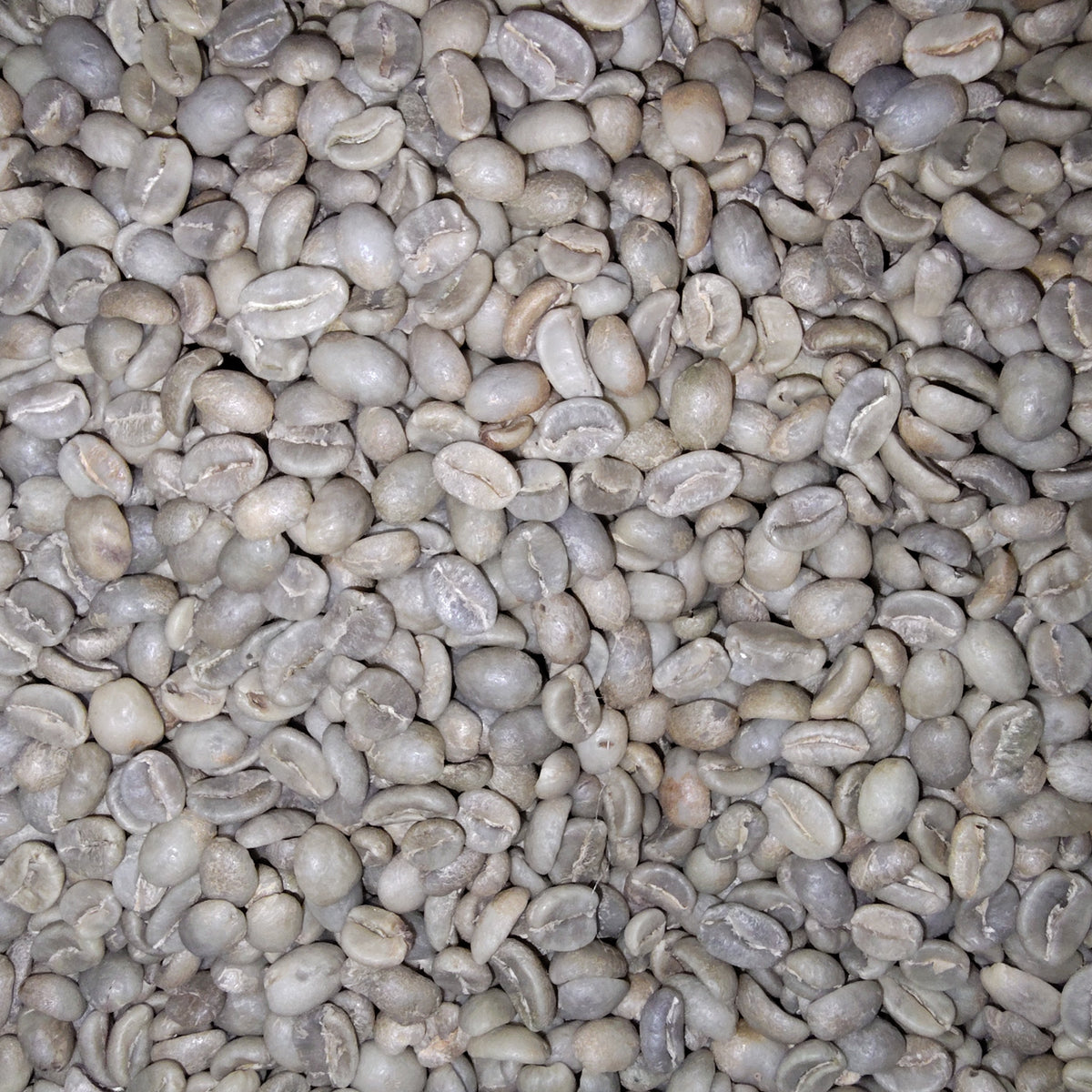 A close-up, top-down view of raw, unroasted coffee beans filling the entire frame.